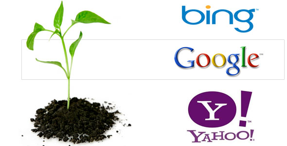 Organic Search result in Search engine optimization